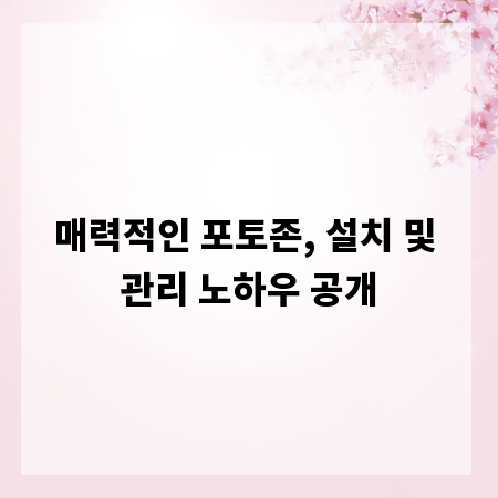 매력적인 포토존, 설치 및 관리 노하우 공개
