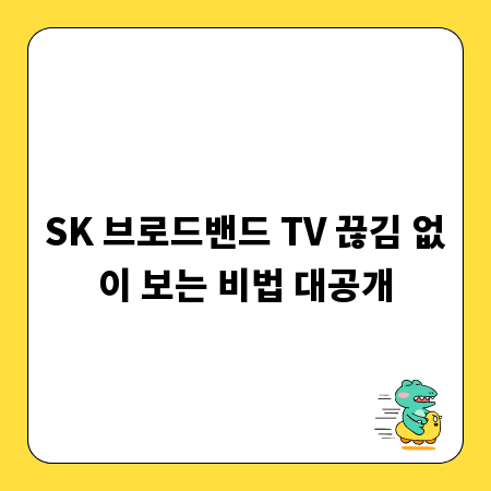 SK 브로드밴드 TV 끊김 없이 보는 비법 대공개