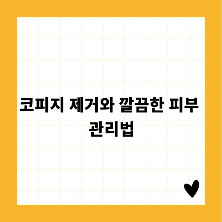 코피지 제거와 깔끔한 피부 관리법