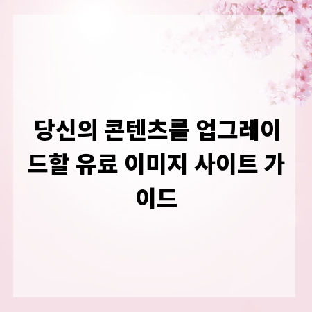 당신의 콘텐츠를 업그레이드할 유료 이미지 사이트 가이드