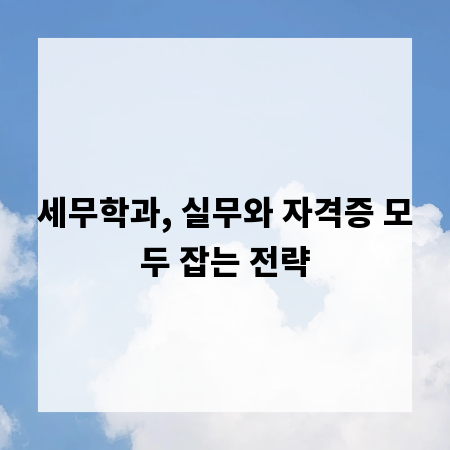 세무학과, 실무와 자격증 모두 잡는 전략