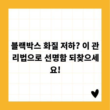 블랙박스 화질 저하? 이 관리법으로 선명함 되찾으세요!