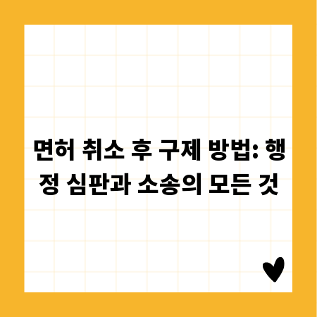 면허 취소 후 구제 방법: 행정 심판과 소송의 모든 것