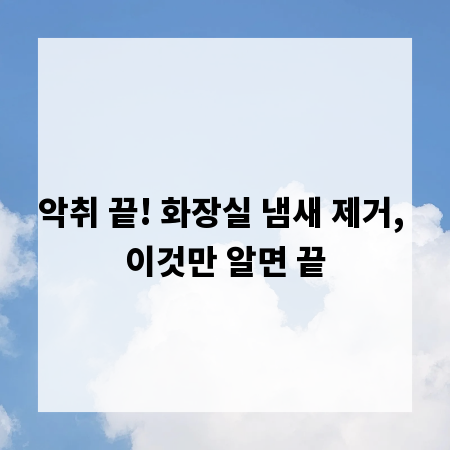 악취 끝! 화장실 냄새 제거, 이것만 알면 끝