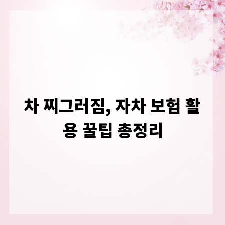 차 찌그러짐, 자차 보험 활용 꿀팁 총정리