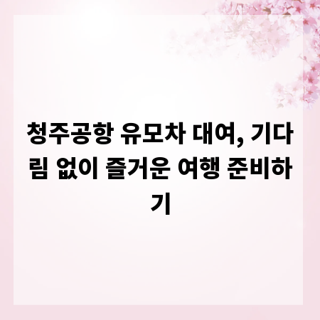 청주공항 유모차 대여, 기다림 없이 즐거운 여행 준비하기