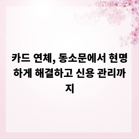 카드 연체, 동소문에서 현명하게 해결하고 신용 관리까지