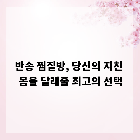 반송 찜질방, 당신의 지친 몸을 달래줄 최고의 선택