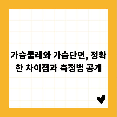 가슴둘레와 가슴단면, 정확한 차이점과 측정법 공개