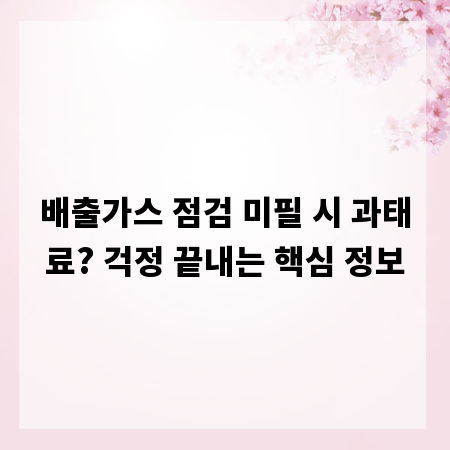 배출가스 점검 미필 시 과태료? 걱정 끝내는 핵심 정보