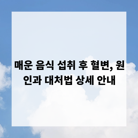 매운 음식 섭취 후 혈변, 원인과 대처법 상세 안내