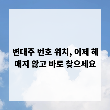 변대주 번호 위치, 이제 헤매지 않고 바로 찾으세요