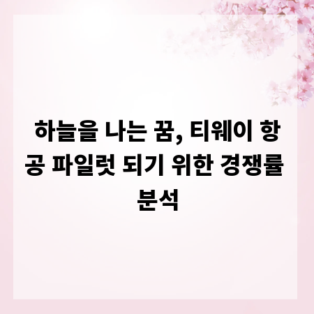 하늘을 나는 꿈, 티웨이 항공 파일럿 되기 위한 경쟁률 분석