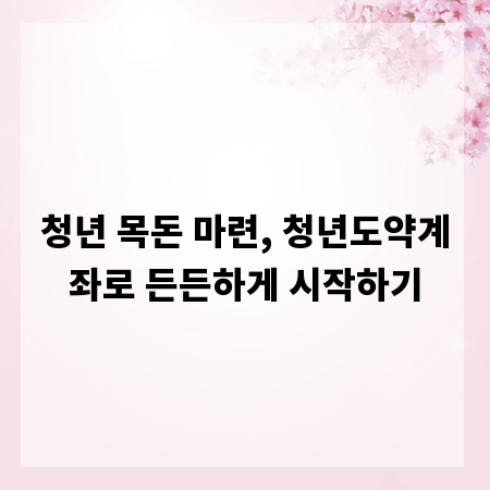 청년 목돈 마련, 청년도약계좌로 든든하게 시작하기