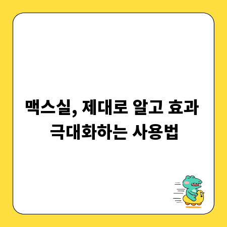 맥스실, 제대로 알고 효과 극대화하는 사용법