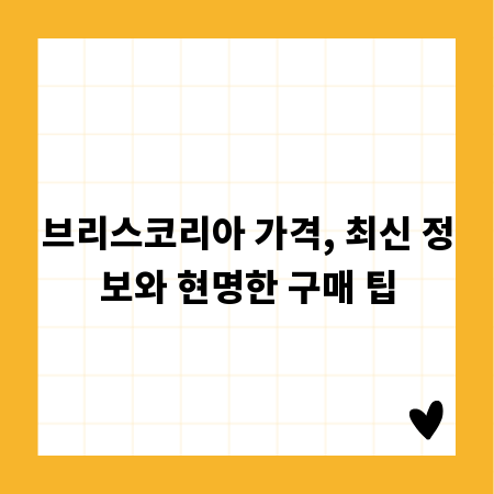 브리스코리아 가격, 최신 정보와 현명한 구매 팁