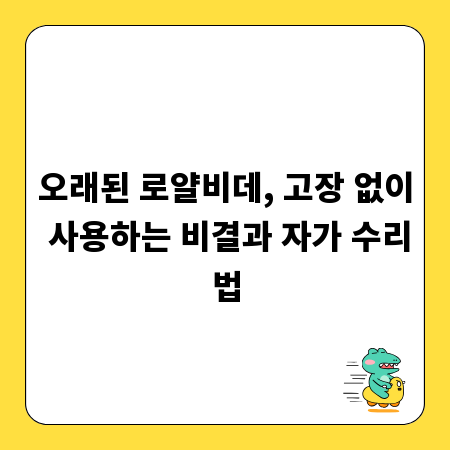 오래된 로얄비데, 고장 없이 사용하는 비결과 자가 수리법