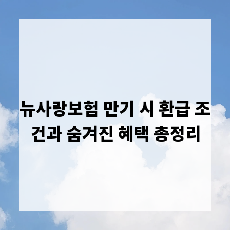 뉴사랑보험 만기 시 환급 조건과 숨겨진 혜택 총정리
