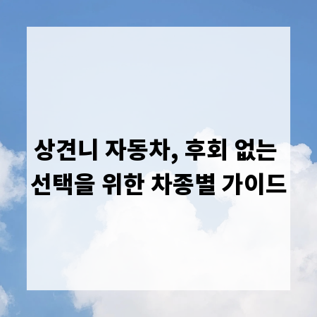 상견니 자동차, 후회 없는 선택을 위한 차종별 가이드