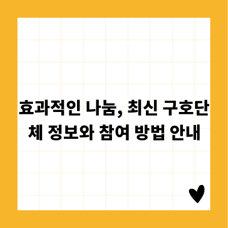 효과적인 나눔, 최신 구호단체 정보와 참여 방법 안내