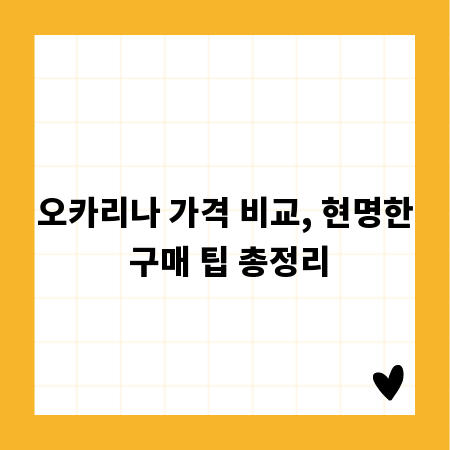 오카리나 가격 비교, 현명한 구매 팁 총정리