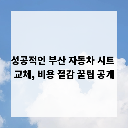 성공적인 부산 자동차 시트 교체, 비용 절감 꿀팁 공개