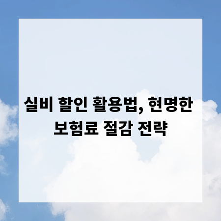 실비 할인 활용법, 현명한 보험료 절감 전략