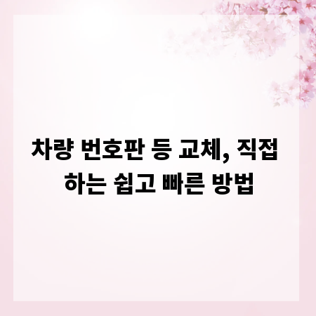 차량 번호판 등 교체, 직접 하는 쉽고 빠른 방법