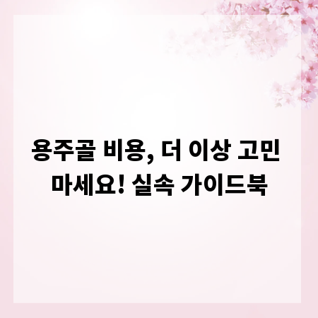 용주골 비용, 더 이상 고민 마세요! 실속 가이드북