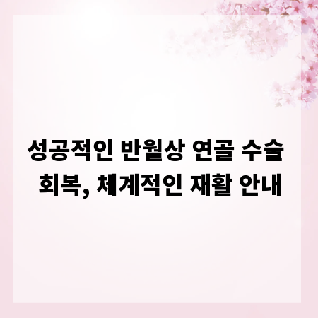 성공적인 반월상 연골 수술 회복, 체계적인 재활 안내