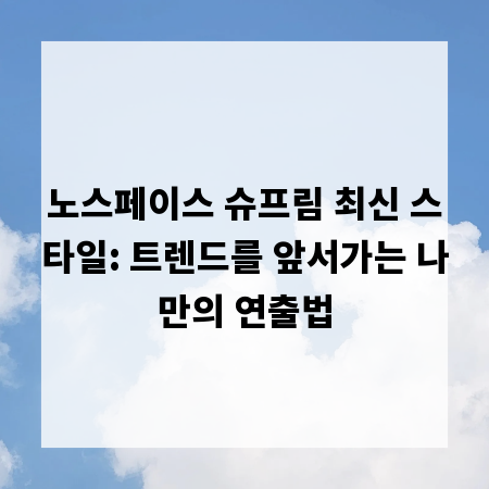 노스페이스 슈프림 최신 스타일: 트렌드를 앞서가는 나만의 연출법