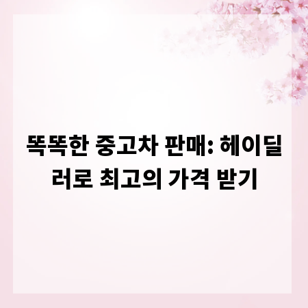 똑똑한 중고차 판매: 헤이딜러로 최고의 가격 받기