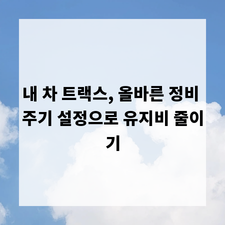 내 차 트랙스, 올바른 정비 주기 설정으로 유지비 줄이기