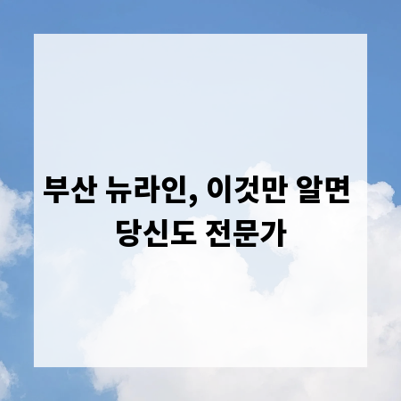 부산 뉴라인, 이것만 알면 당신도 전문가