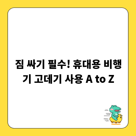짐 싸기 필수! 휴대용 비행기 고데기 사용 A to Z