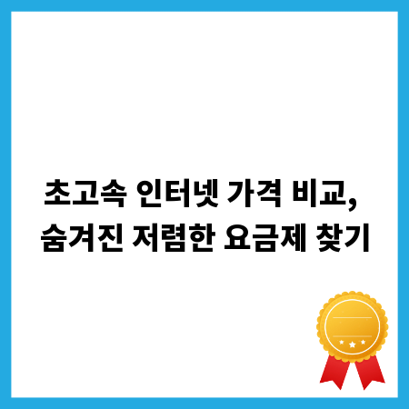 초고속 인터넷 가격 비교, 숨겨진 저렴한 요금제 찾기