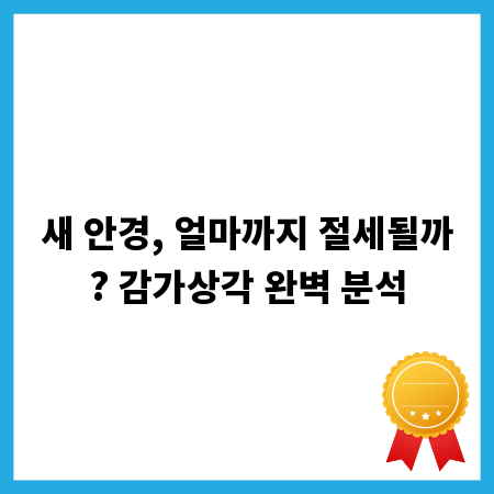 새 안경, 얼마까지 절세될까? 감가상각 완벽 분석