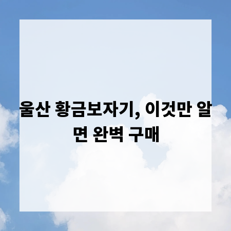 울산 황금보자기, 이것만 알면 완벽 구매