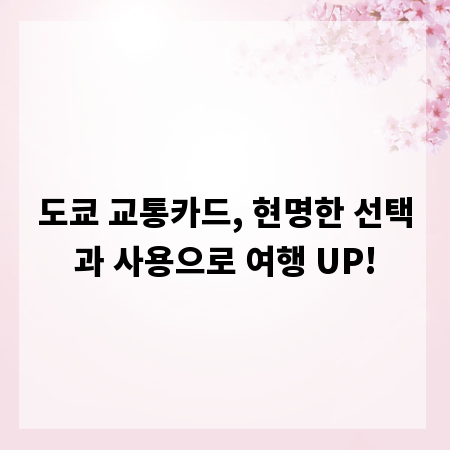 도쿄 교통카드, 현명한 선택과 사용으로 여행 UP!