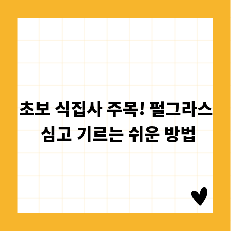 초보 식집사 주목! 펄그라스 심고 기르는 쉬운 방법