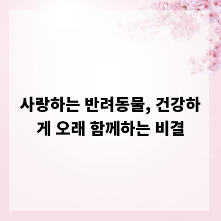 사랑하는 반려동물, 건강하게 오래 함께하는 비결