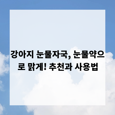 강아지 눈물자국, 눈물약으로 맑게! 추천과 사용법