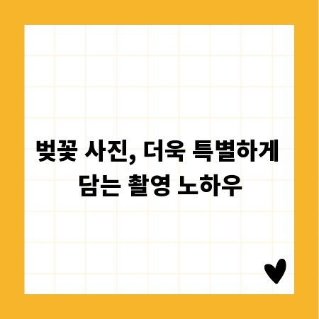 벚꽃 사진, 더욱 특별하게 담는 촬영 노하우
