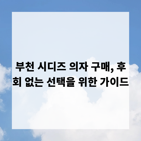 부천 시디즈 의자 구매, 후회 없는 선택을 위한 가이드