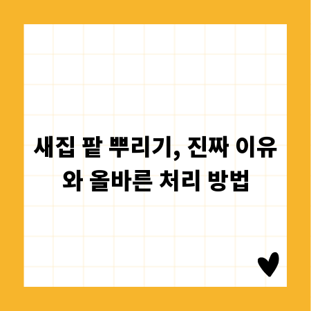 새집 팥 뿌리기, 진짜 이유와 올바른 처리 방법