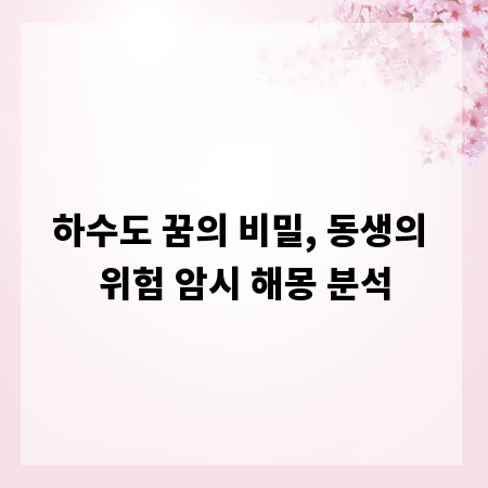 하수도 꿈의 비밀, 동생의 위험 암시 해몽 분석