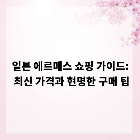 일본 에르메스 쇼핑 가이드: 최신 가격과 현명한 구매 팁