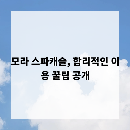 모라 스파캐슬, 합리적인 이용 꿀팁 공개