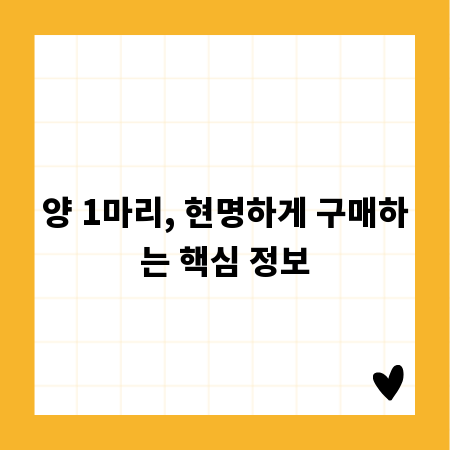 양 1마리, 현명하게 구매하는 핵심 정보