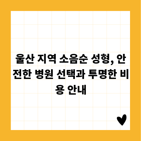 울산 지역 소음순 성형, 안전한 병원 선택과 투명한 비용 안내